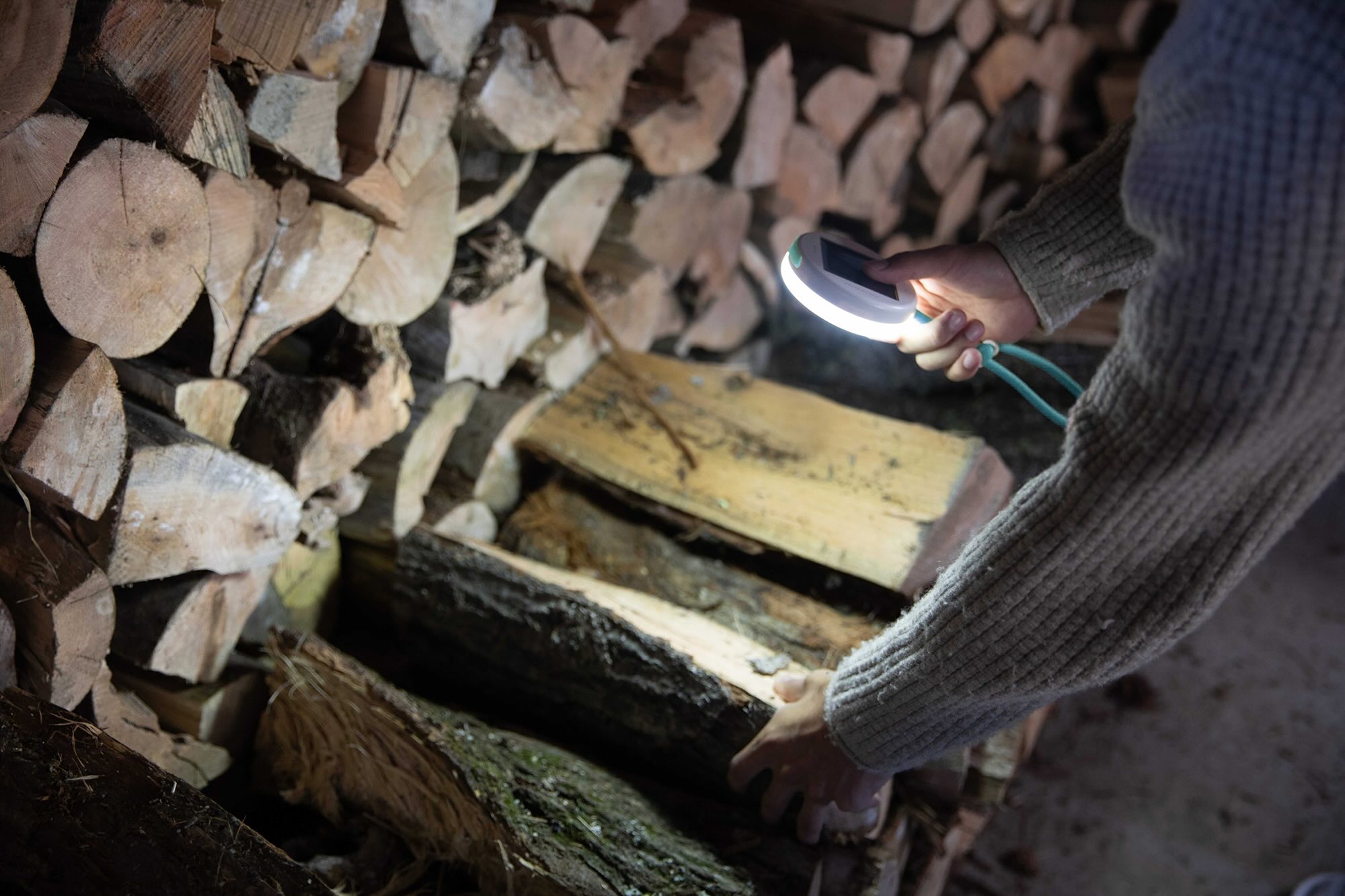 Holz, Schnittholz