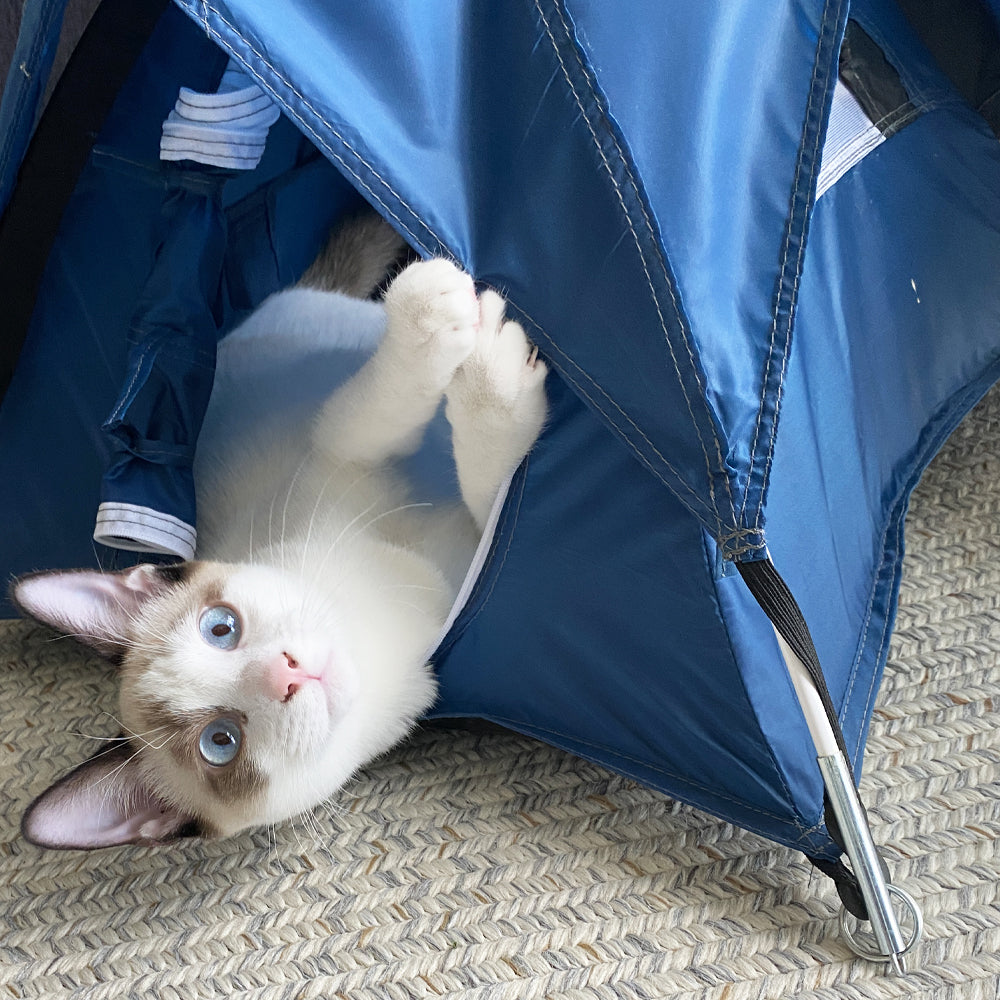 Matador Tiny Tent (blue)