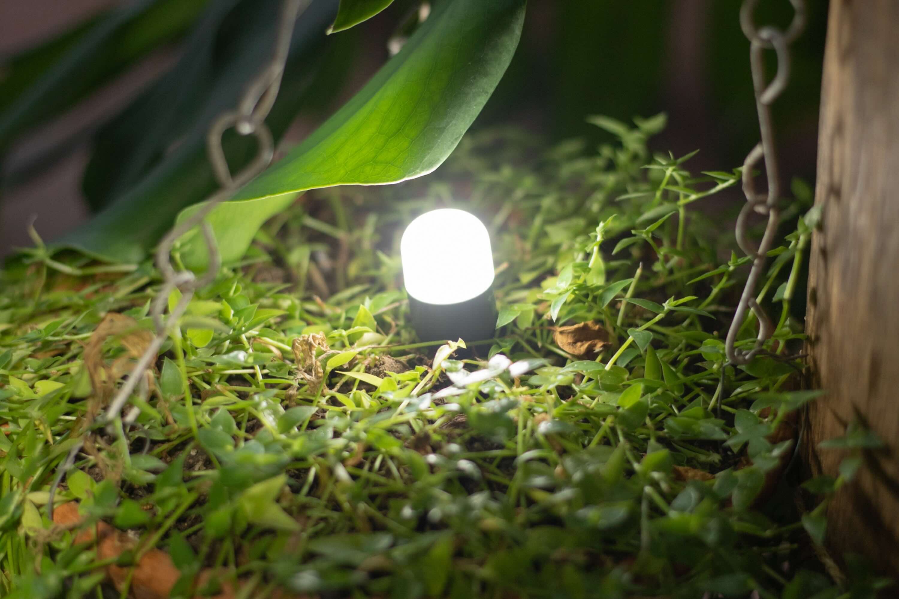 Licht