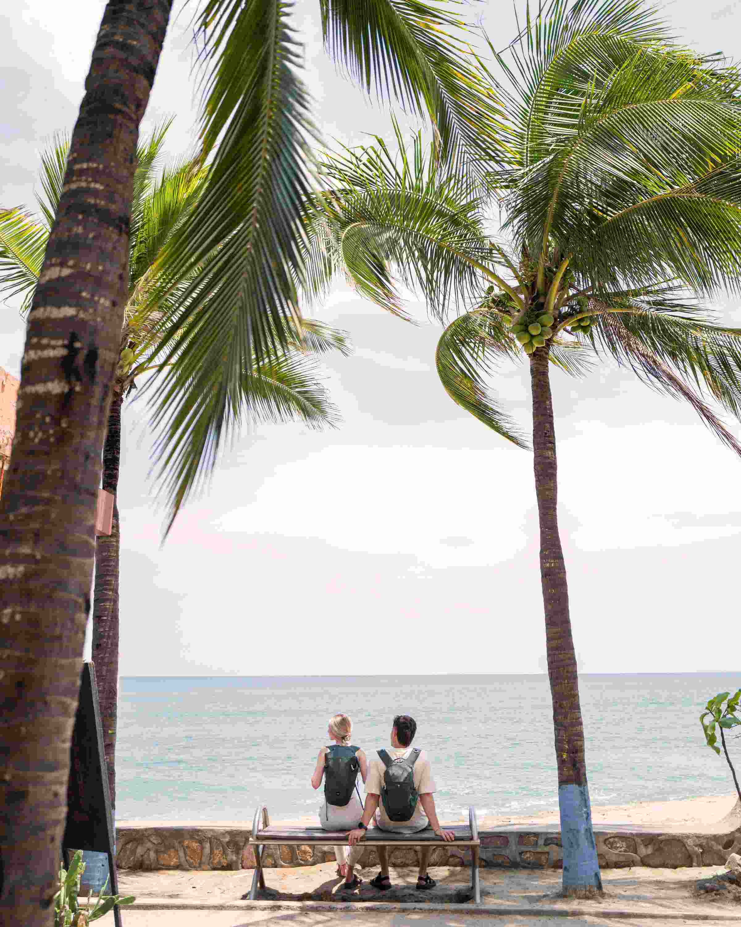 Strand, Palmen, Meer, Sitzbank, Pärchen