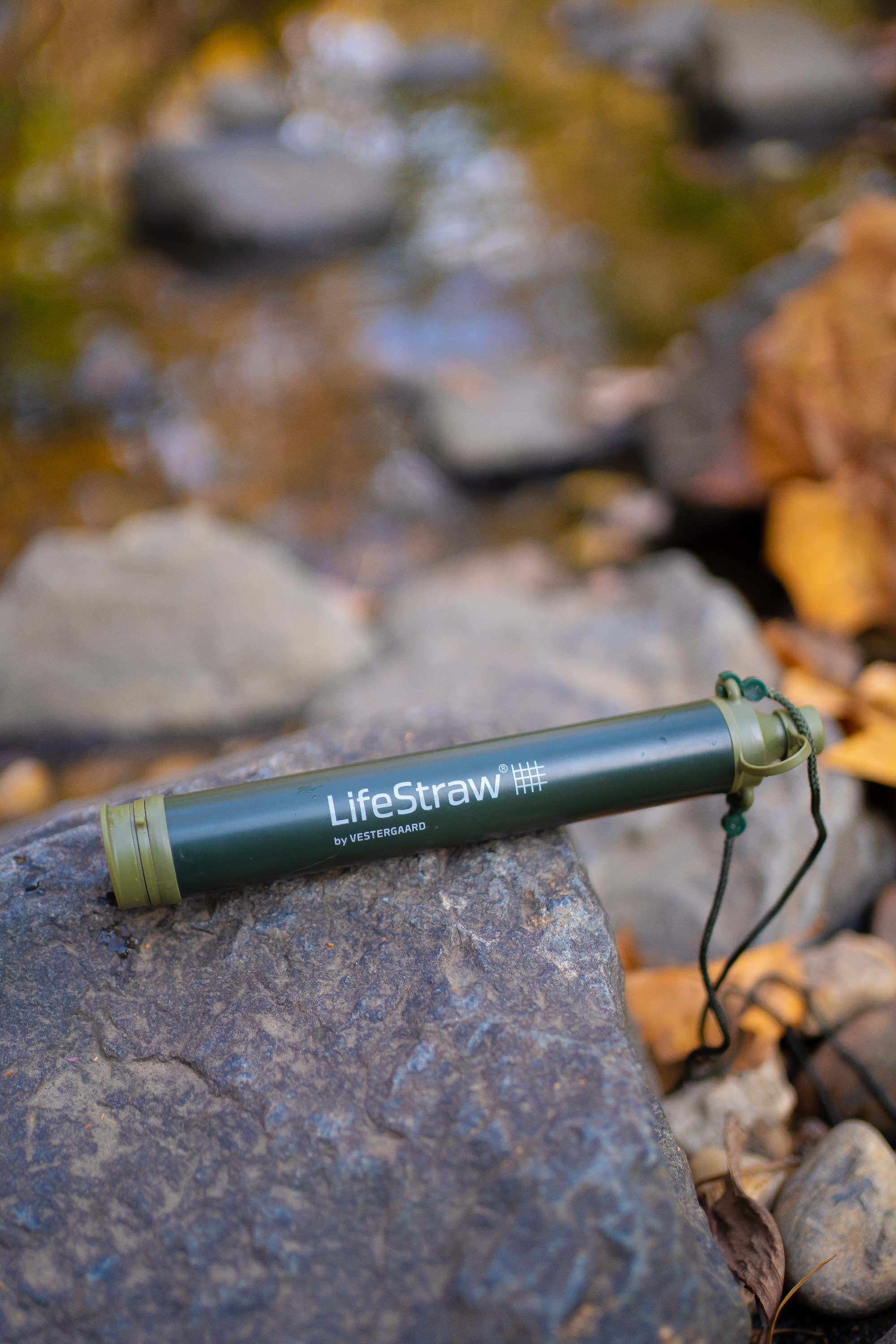 LifeStraw Personal (green)