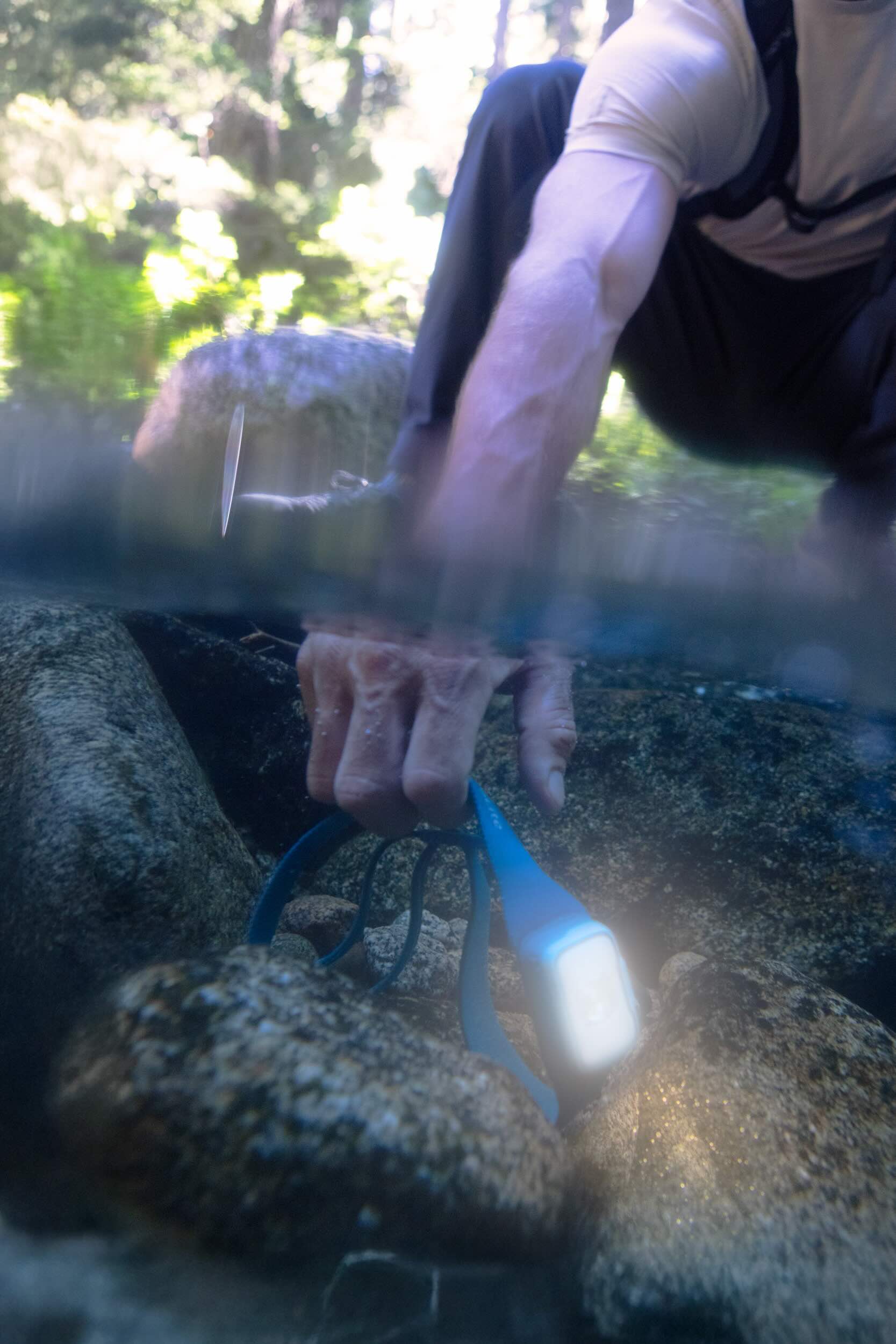 Rock, Finger, Vegetation, Waldland, Boden