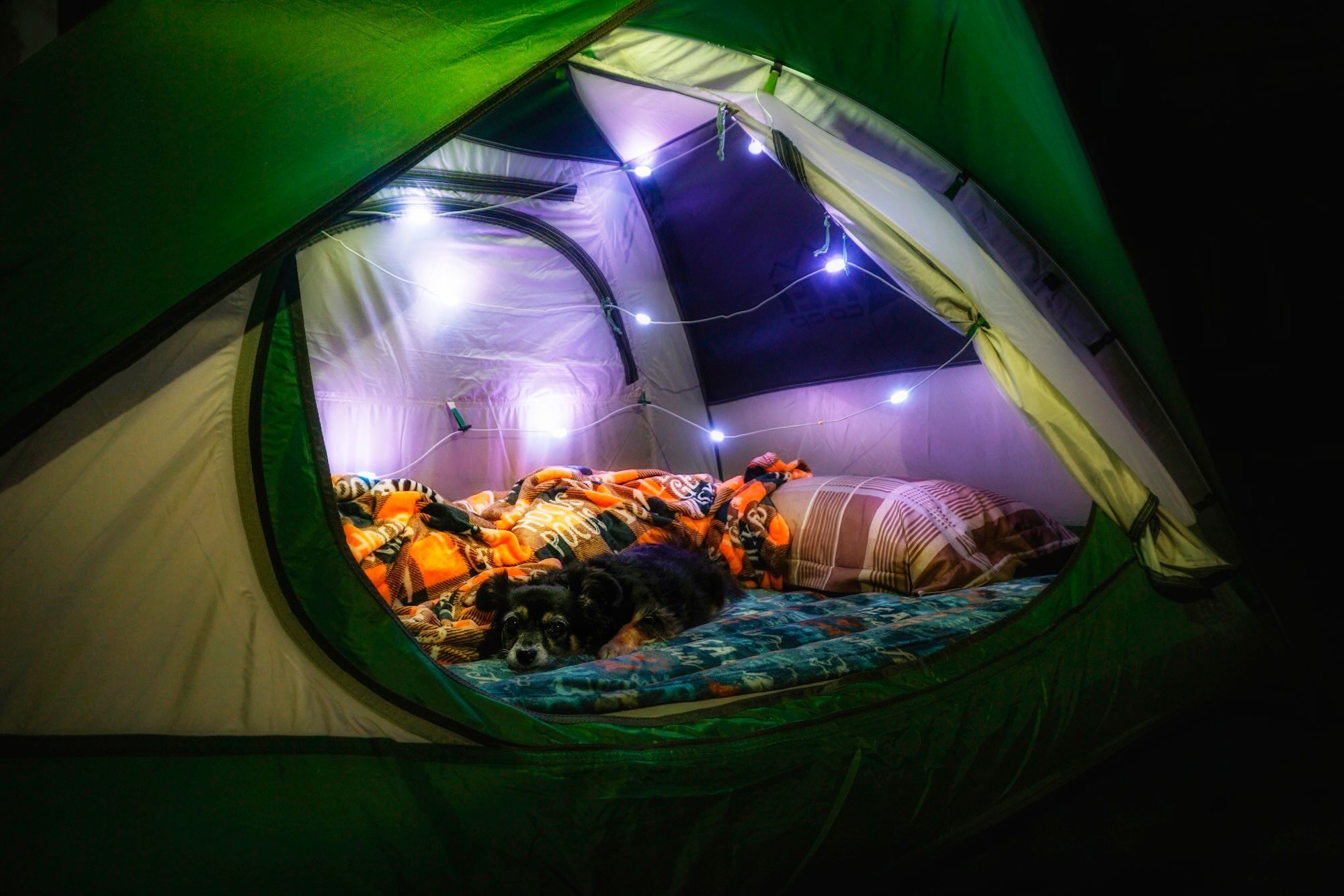 Draußen, Unterschlupf, Campen, Zelt, Zelt in den Bergen