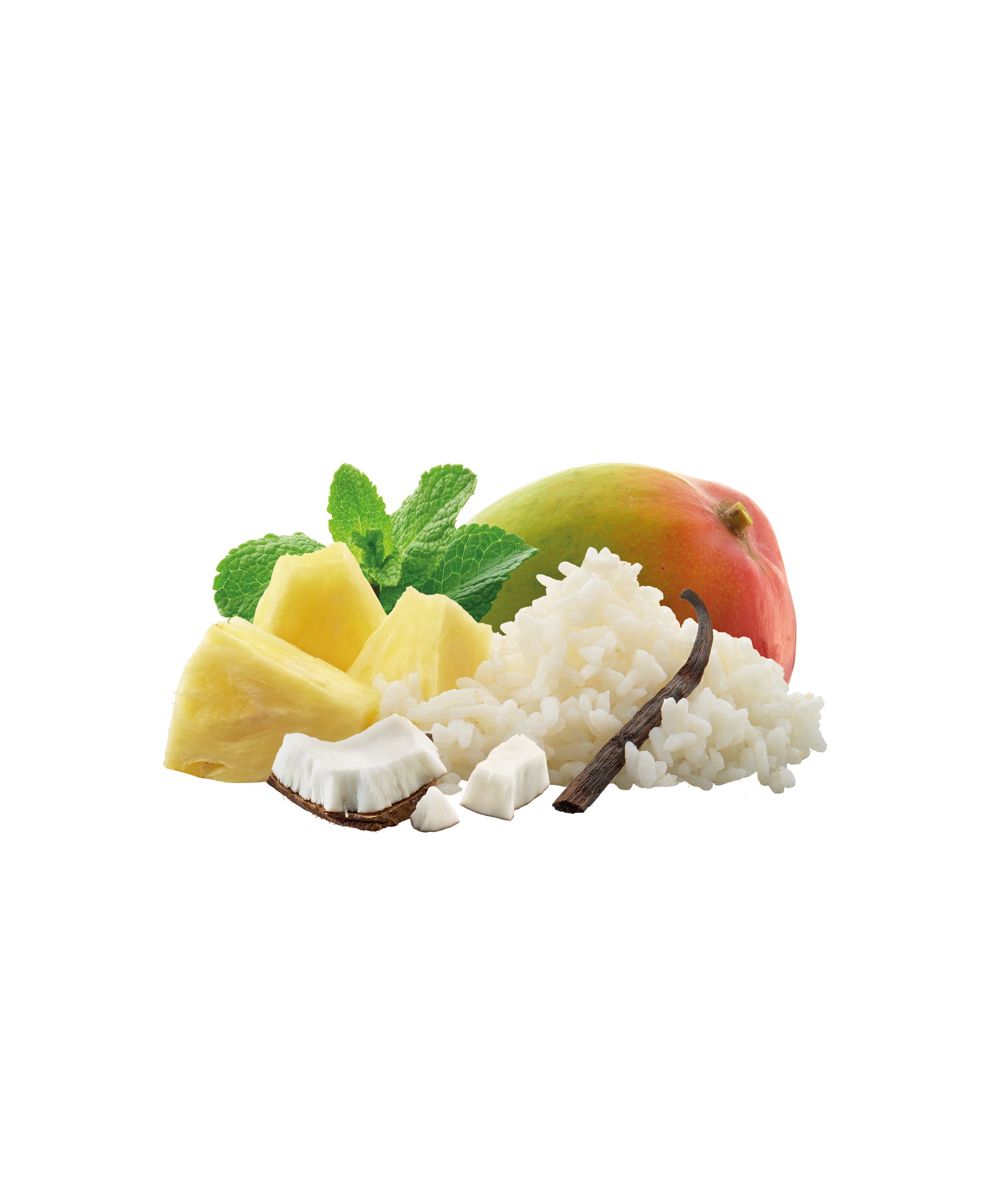 Adventure Food Tropical Rice Dessert (18-pack)